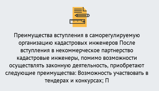 Почему нужно обратиться к нам? Усинск Что дает допуск СРО кадастровых инженеров?