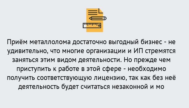 Почему нужно обратиться к нам? Усинск Лицензия на металлолом. Порядок получения лицензии. В Усинск